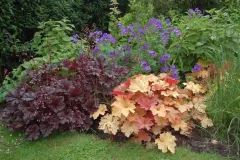 Tuinenrally 5 juni 2012 - 	Rallye-jardins - 5 juin 2012  -05