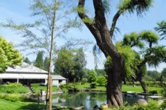 Tuinrally 9 juni 2016 - Rally jardin - 9 juin 2016-02