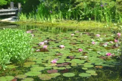 Tuinrally 9 juni 2016 - Rally jardin - 9 juin 2016-07