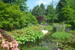 Tuinrally 9 juni 2016 - Rally jardin - 9 juin 2016-08