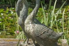 Tuinrally 9 juni 2016 - Rally jardin - 9 juin 2016-12