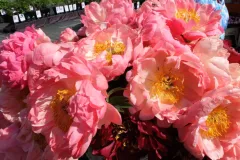 Tuinrally 9 juni 2016 - Rally jardin - 9 juin 2016-19