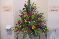 Wafa-india-Jaipur-2020