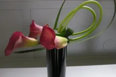 Workshop “Lijn en Ruimte” - Workshop “La Ligne et l’Espace” - 5 octobre 2010-002