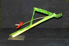 Activiteiten 2011 - Activités 2011