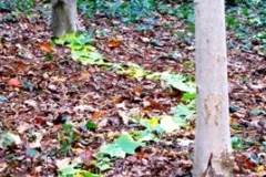 Workshops in La Marlagne op 19 oktober 2011 - Workshops à La Marlagne - 19 octobre 2011-10