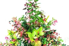 Workshops in La Marlagne op 19 oktober 2011 - Workshops à La Marlagne - 19 octobre 2011-12