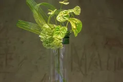 XIIde internationale bloemschikwedstrijd - 27 september 2017 - XII concours international d’art floral du 27 au 30 septembre-009