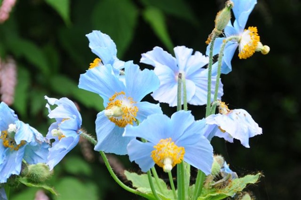 20100613 Reis naar Ierland 01