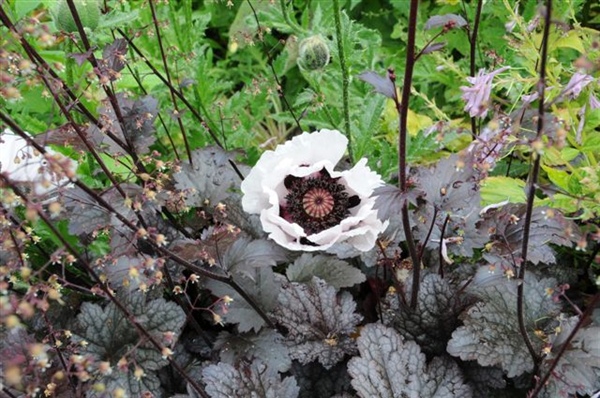 20100613 Reis naar Ierland 02