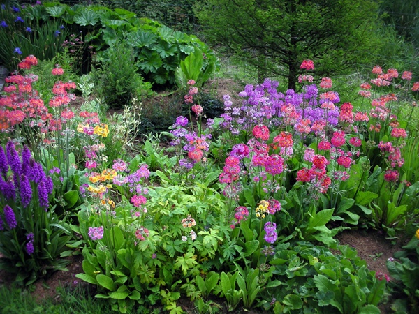 20100613 Reis naar Ierland 07