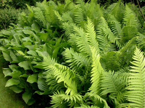 20020605 Tuinenrally 10