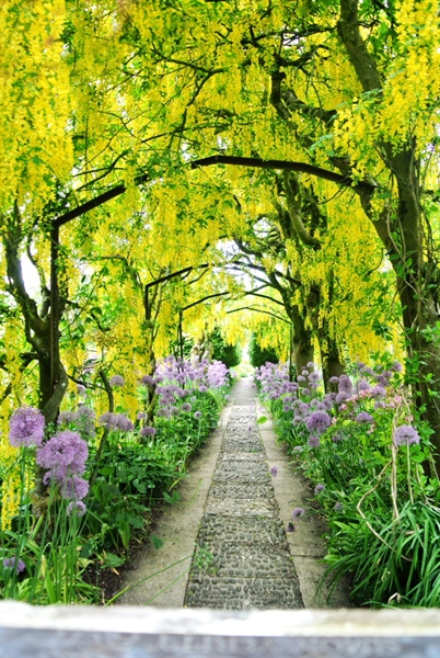 20130610 Reis naar de Cotswolds 2