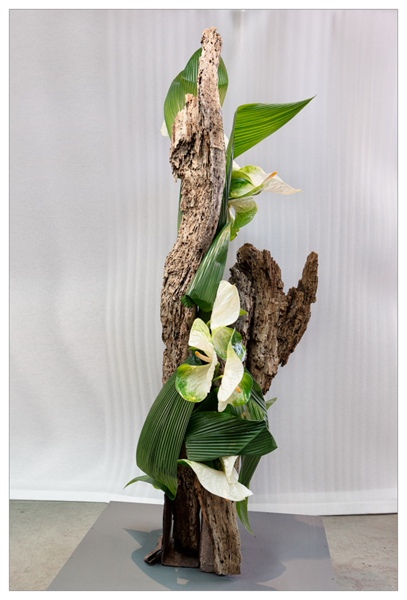 20130303 Internationale wedstrijd - Klasse 1b - plantaardige sculptuur 01