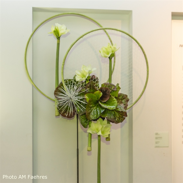 20051126 Florilegio 30