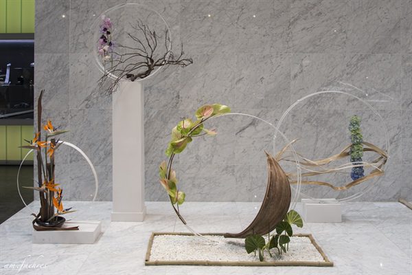 20170518 50 ans BFAS 02