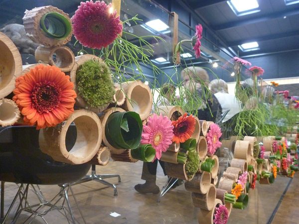 20170518 50 ans BFAS 05