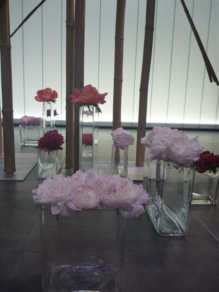 20170518 50 ans BFAS 15