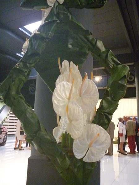 20170518 50 ans BFAS 16