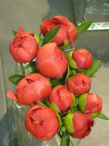 20170518 50 ans BFAS 17