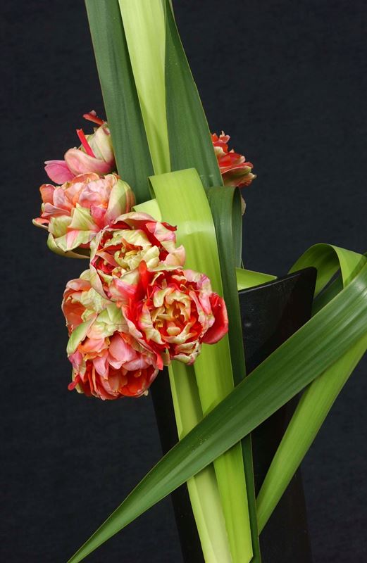 BFAS De leden van de raad van bestuur