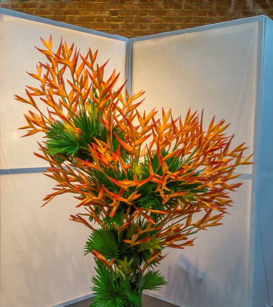 publieksprjis en 1ste prijs in klasse 1