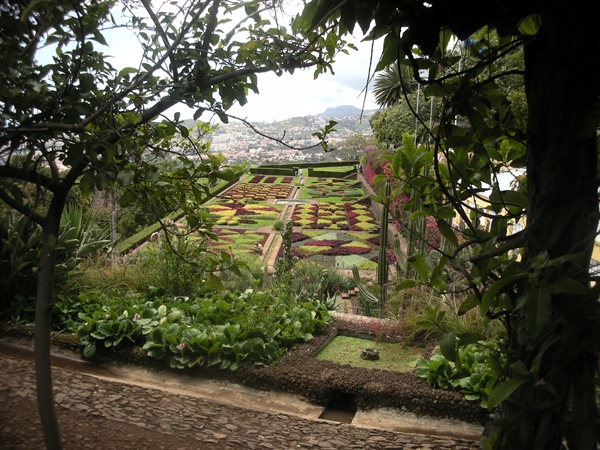 20090511 Reis naar Madeira 01