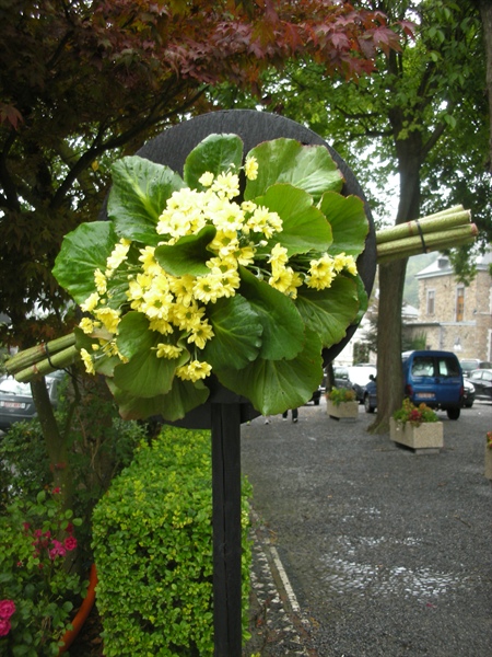 388_l Les couleurs de Malmedy De kleuren van Malmedy Deleg. Stavelot Spa