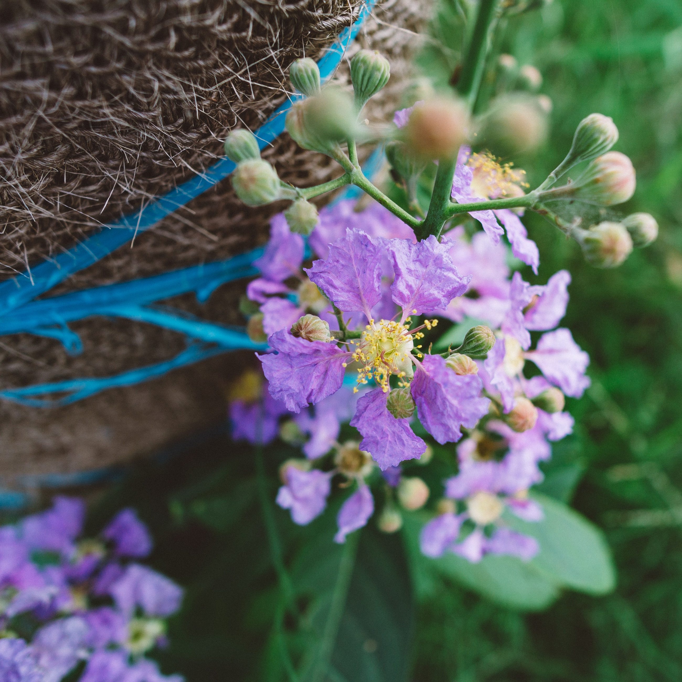 RBFAS voor ledenen niet leden bloemschikken 04