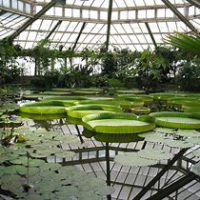 11 et 12 juin : ‘une Journée festive au jardin’ au jardin Botanique de Meise