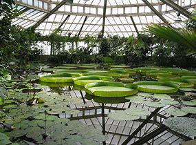 Jardin Botanique / Plantentuin Meise