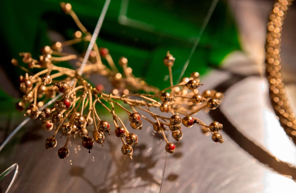 2005 RBAFS Royal Belgian Flower Society Aankondiging