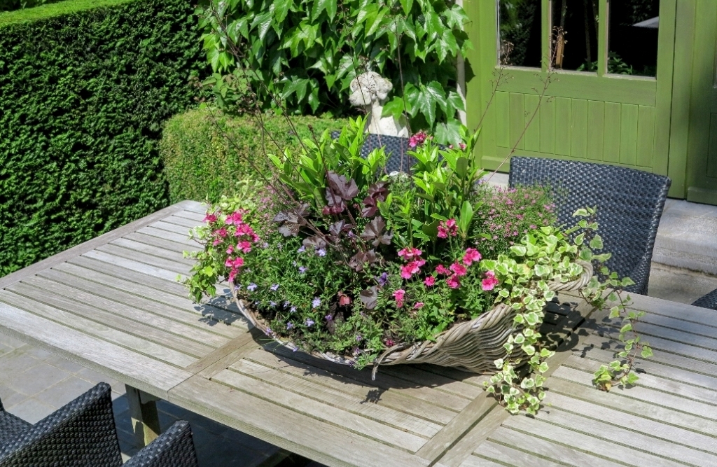 Actualiteit RBAFS Royal Belgian Flower Arrangement Society