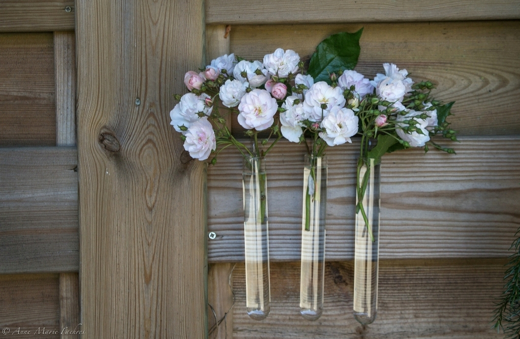 Agenda in het Buitenland RBAFS Royal Belgian Flower Arrangement Society