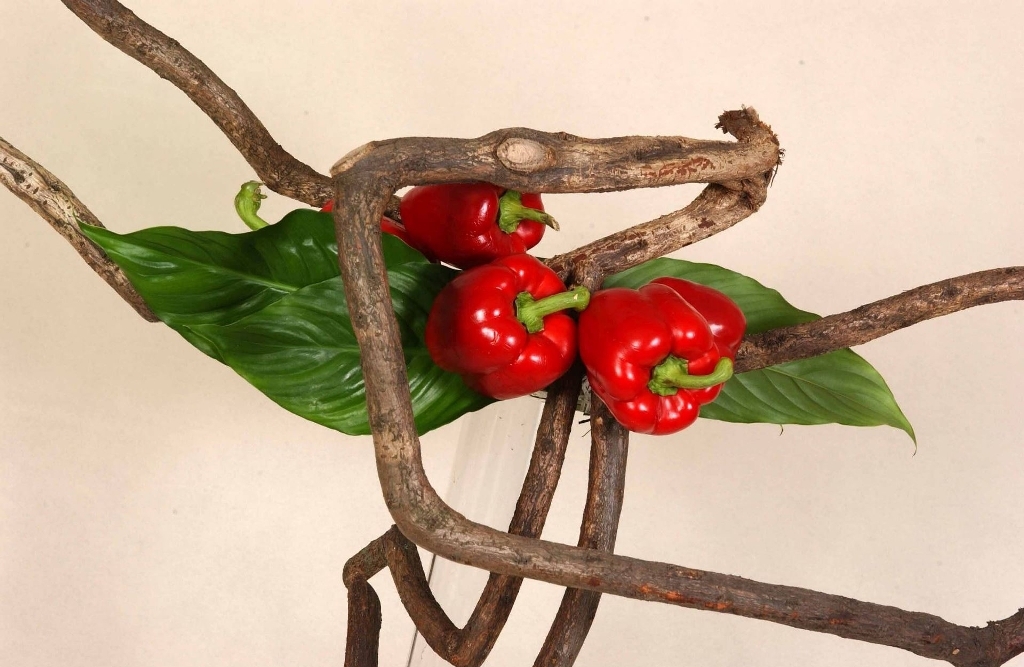 Structuur RBAFS Royal Belgian Flower Arrangement Society