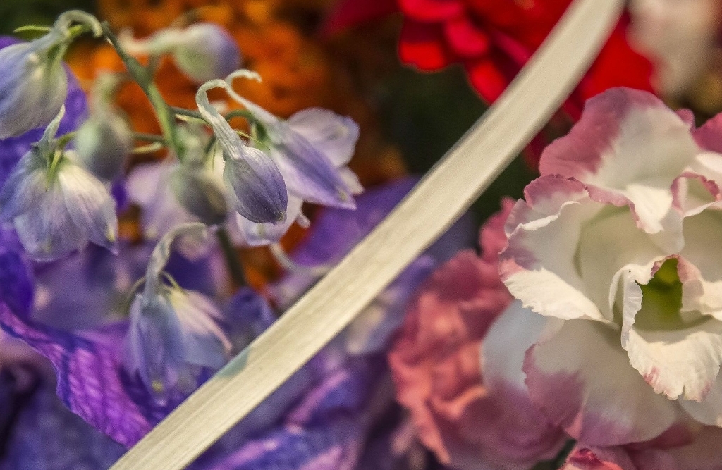 Test RBAFS Royal Belgian Flower Arrangement Society