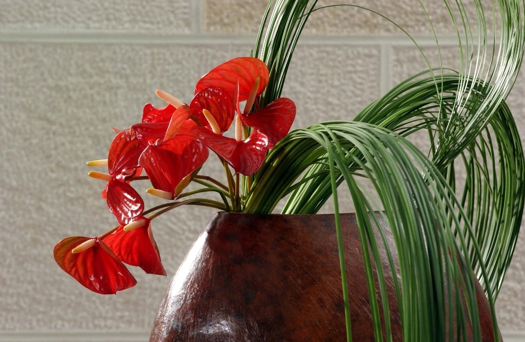 Belgian Flower Arrangement Society