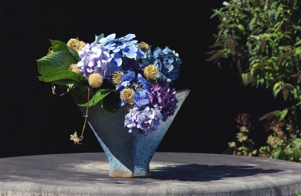 Rol van de animatrices, demonstratrices en leraren