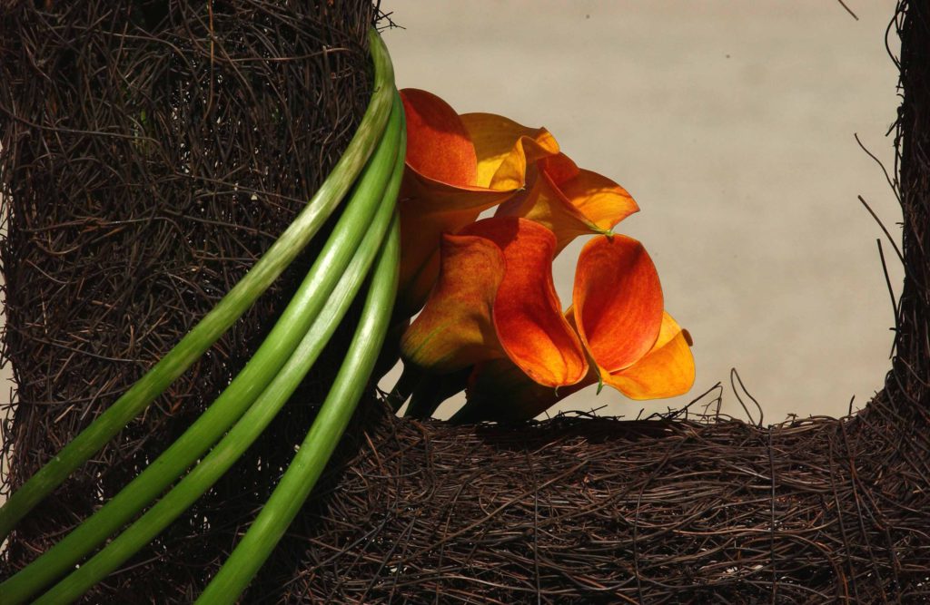 Rol van de demonstratrices