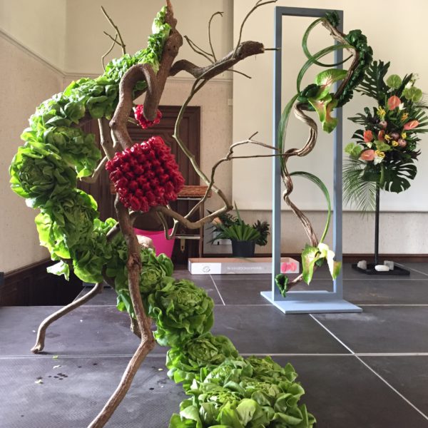 Plantentuin Meise – juni 2018