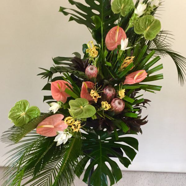 Plantentuin Meise – juni 2018