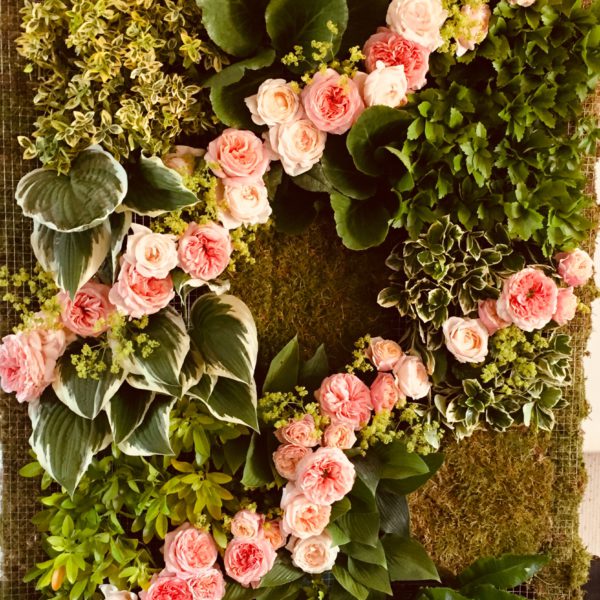 Plantentuin Meise – juni 2018