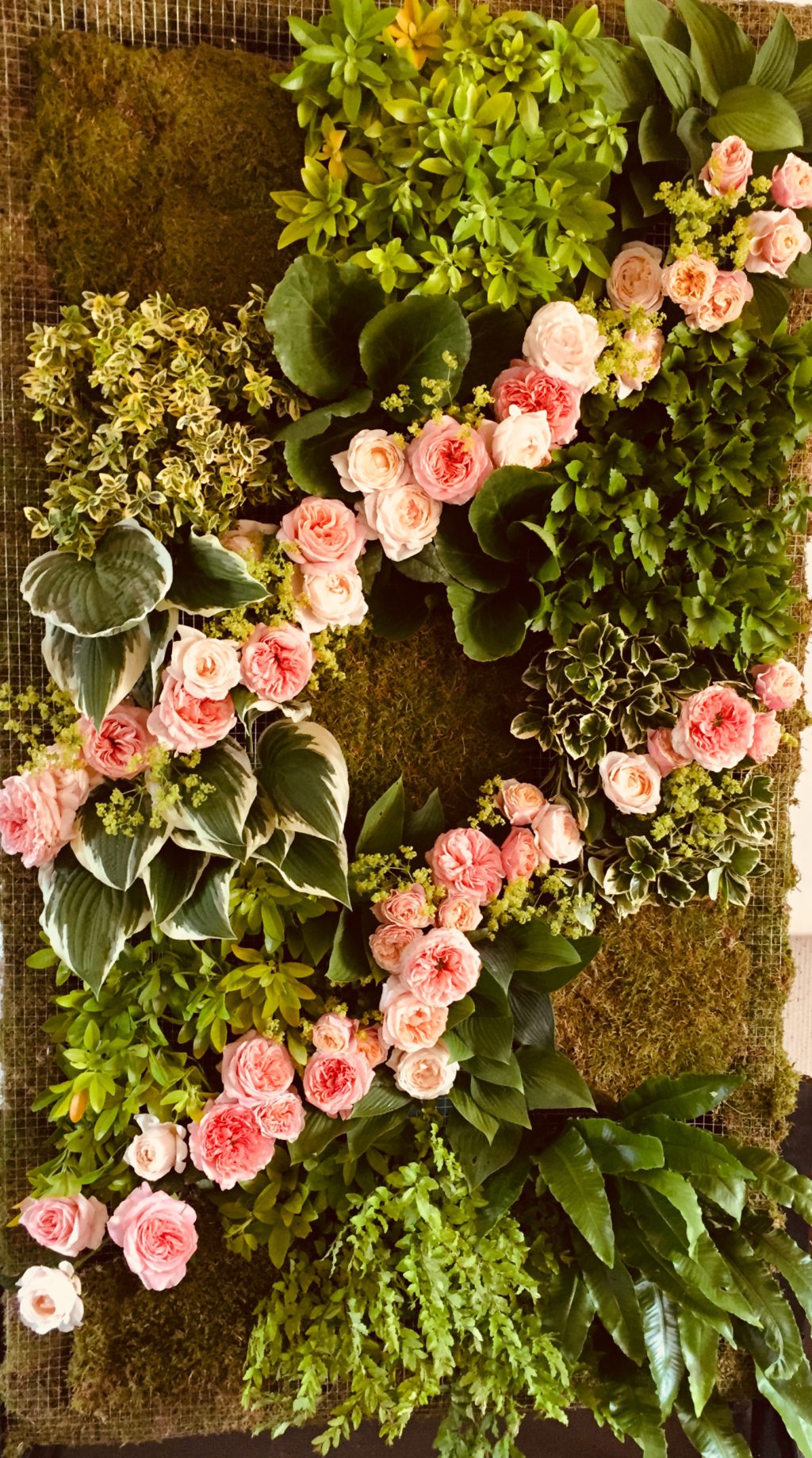 Plantentuin Meise – juni 2018