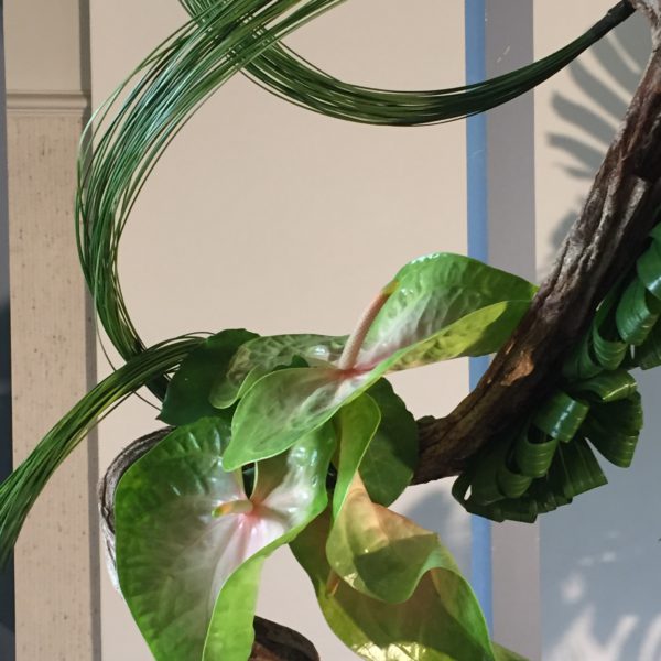 Jardin Botanique Meise – juin 2018