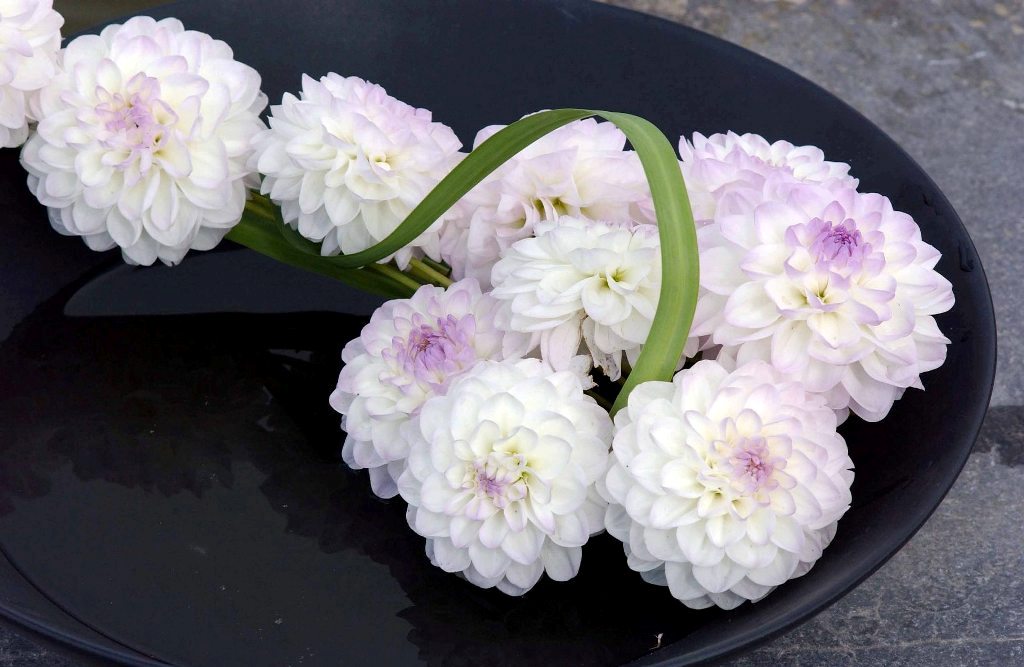 Workshop RBAFS Royal Belgian Flower Arrangement Society