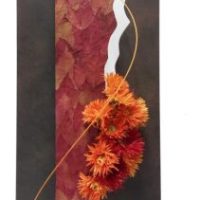 Sur les traces fleuries du Métal