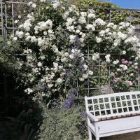 Voyage National RBFAS en Bretagne 2023