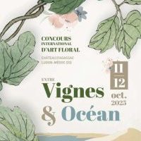 Entre Vignes & Océan